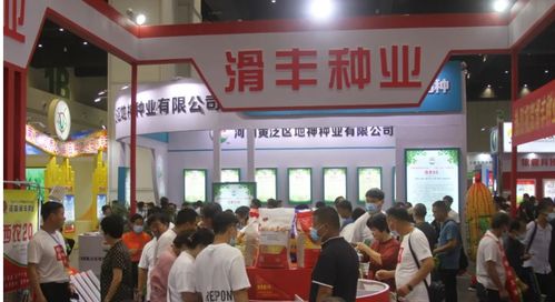 聚焦創(chuàng)新與機遇 河南滑豐種業(yè)閃耀2021河南夏季種子信息交流產(chǎn)品展