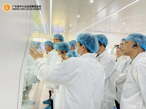 會員專享 探秘世界一流透明工廠，開啟工業智造新視界